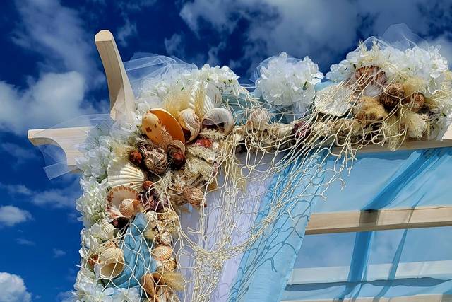Hydrangea 7 Shells