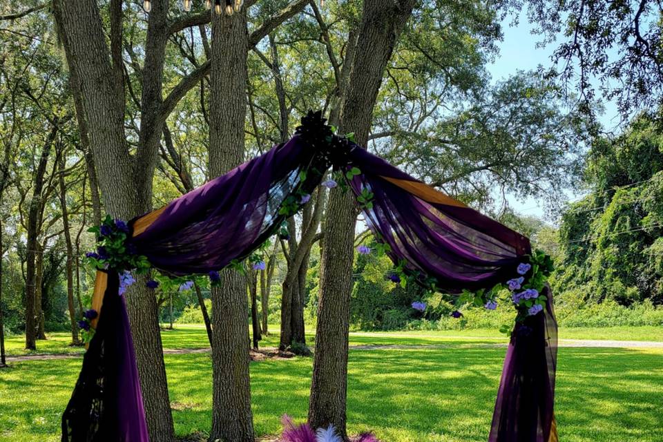 Our Heptagonal Arch