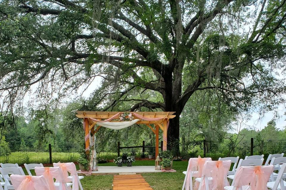 Aisle Chairs in Organza