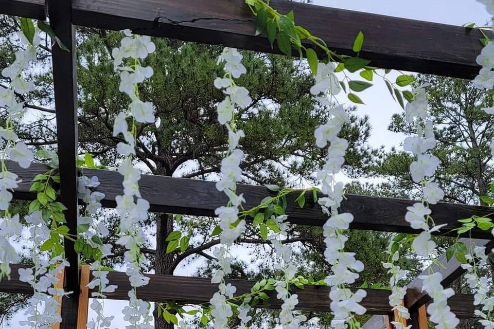 Trellis with Wisteria