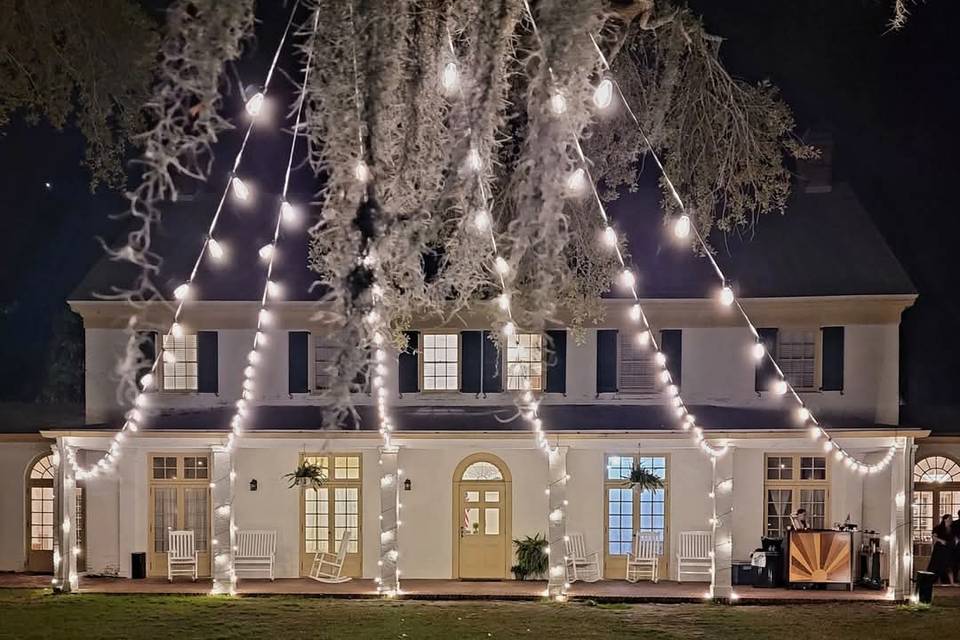 Canopy of Edison Lights