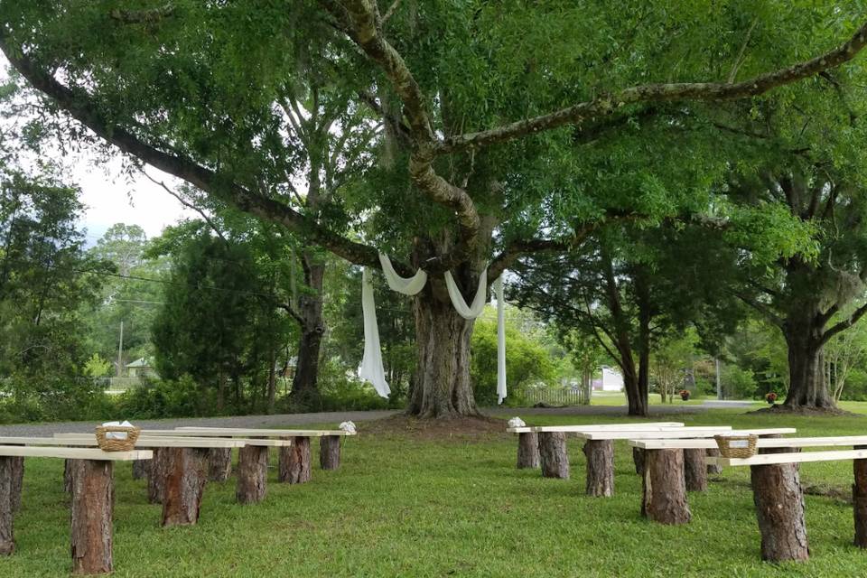 Ceremony Tree with Benches