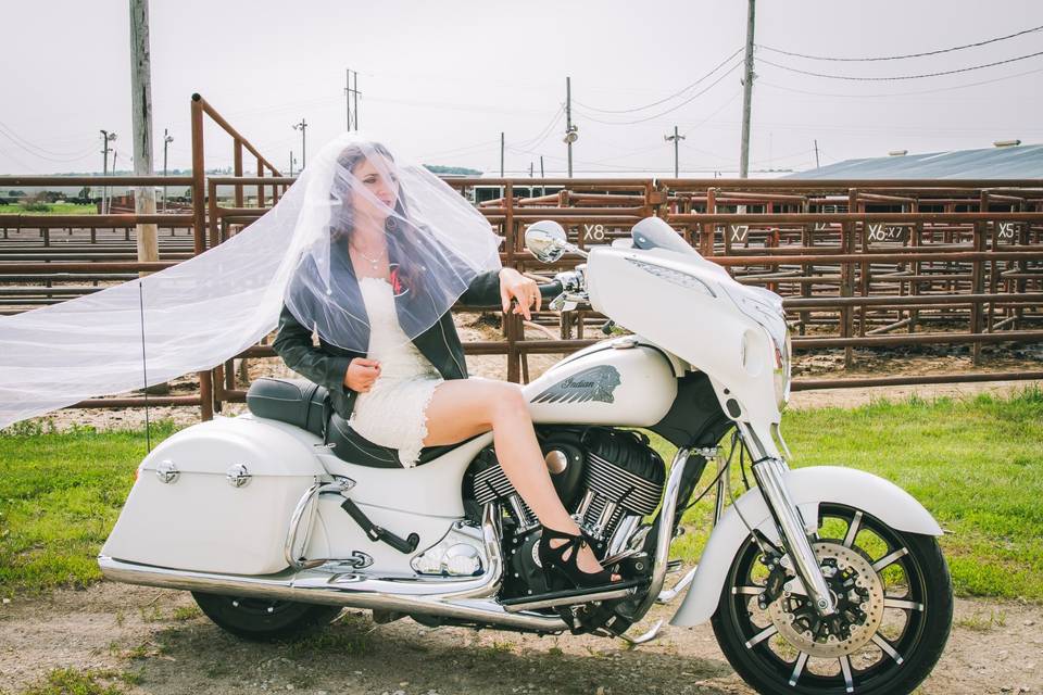 Cathedral veil and short dress combination