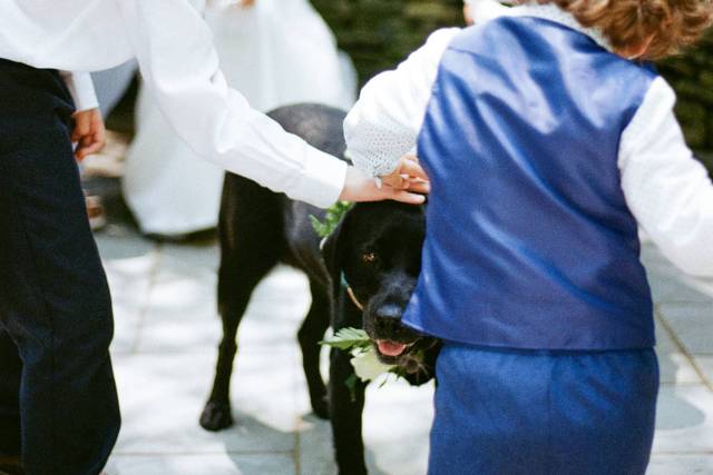 NY film wedding photographer