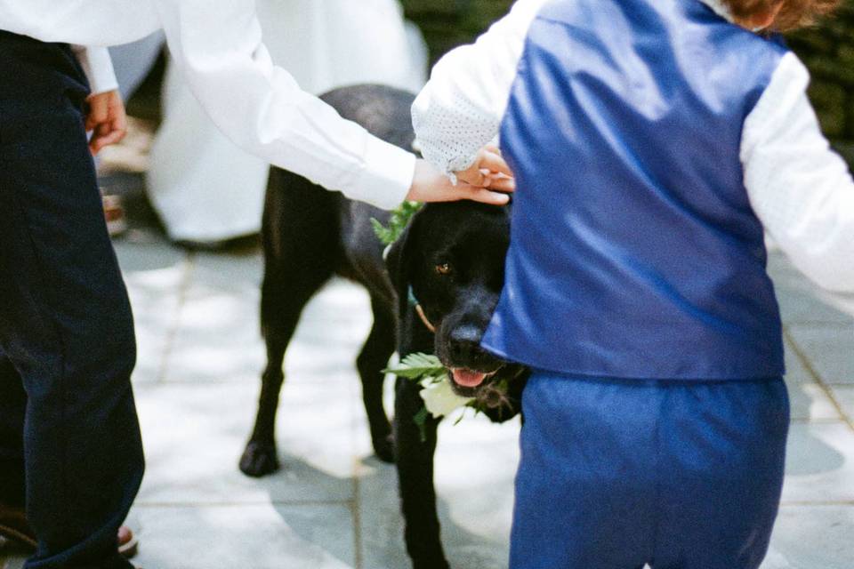 NY film wedding photographer