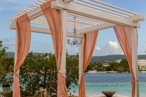 The wedding arch