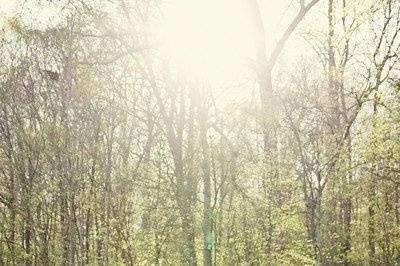 Jessica Winn Photography