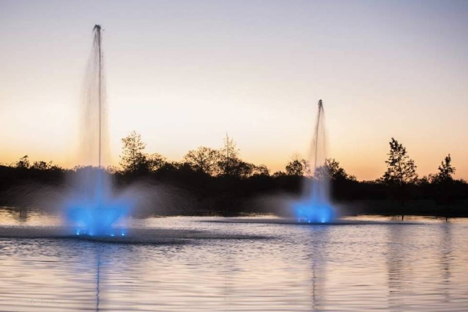 Water features