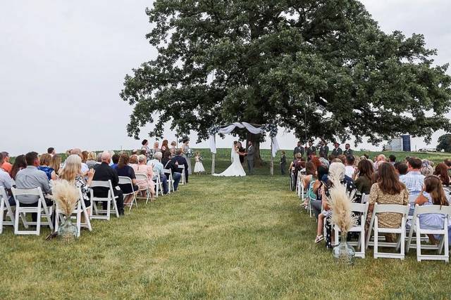 Wedding under Tree