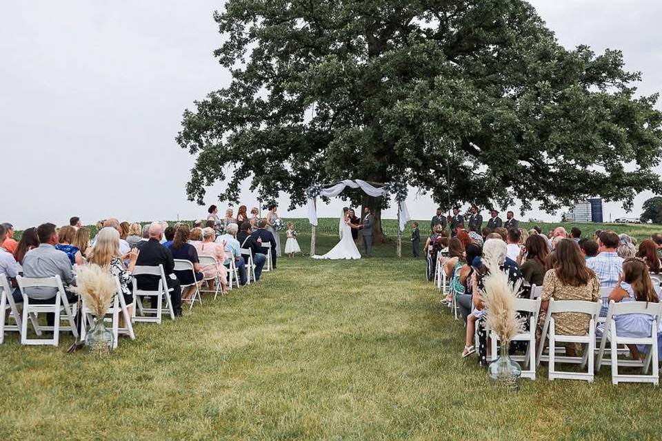 Landscape backdrop!