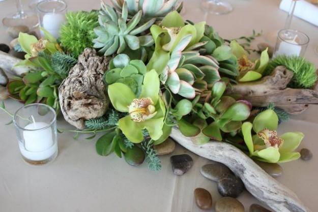 Cymbidium & succulents