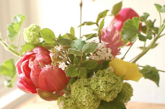 Peonies and viburnum