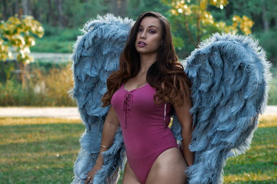 Wings