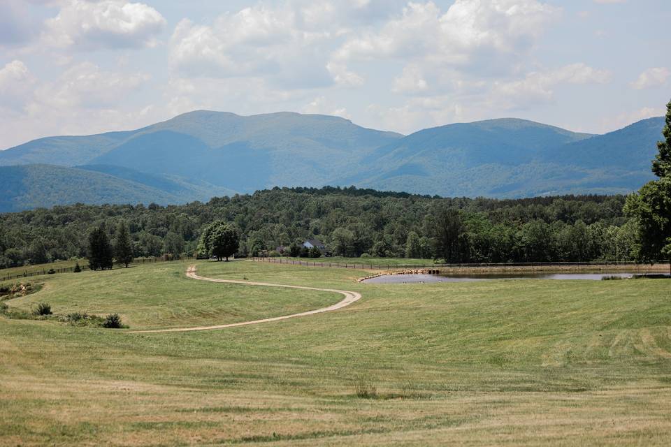 Hazy Mountain Vineyards & Brewery