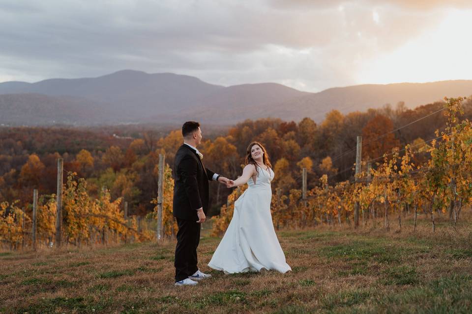 Sunset Vines in November