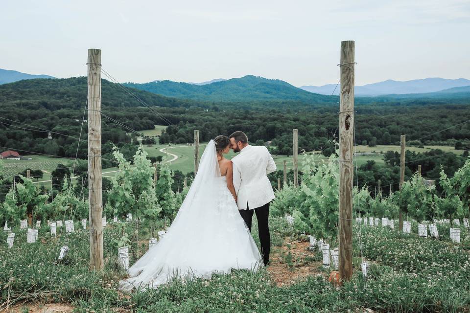 Hazy Mountain Vineyards & Brewery