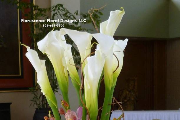 Florescence Floral Designs