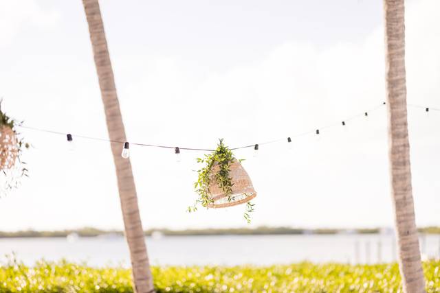 Lighting, Stacia Morgan Photo