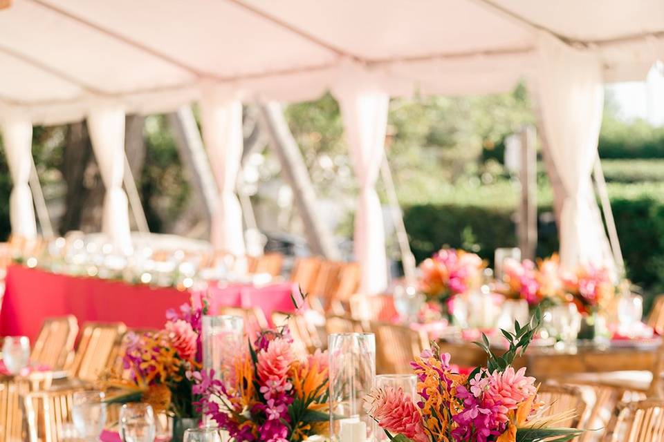 Dinner, Monica Sheehan Photo
