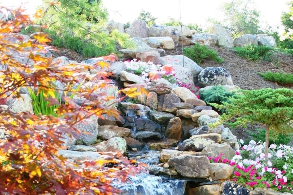 Sunnybrook