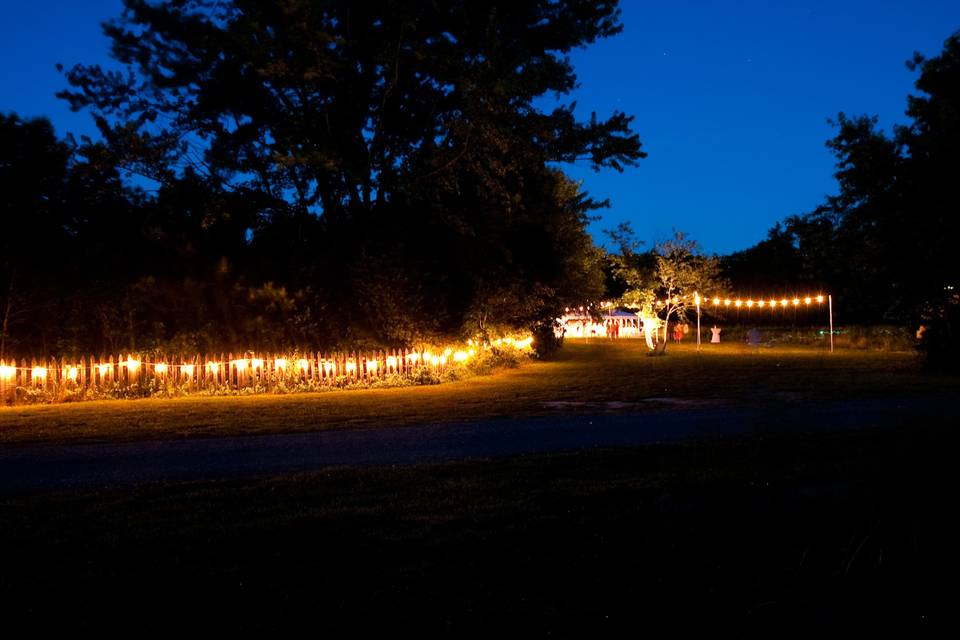 outdoor wedding reception with California lighting