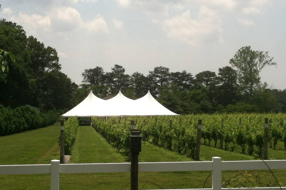 Tent setup