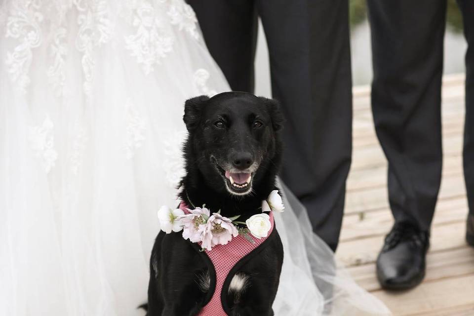 Luxy the flower girl