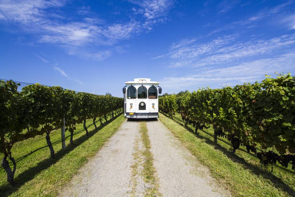 North Fork Trolley