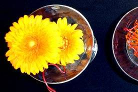 Top view of martini glasses with gerbera daisies, pincushions, and orchids.