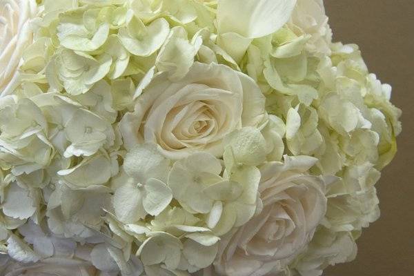 Monochromatic bouquet of calla lilies, hydrangea, and roses.