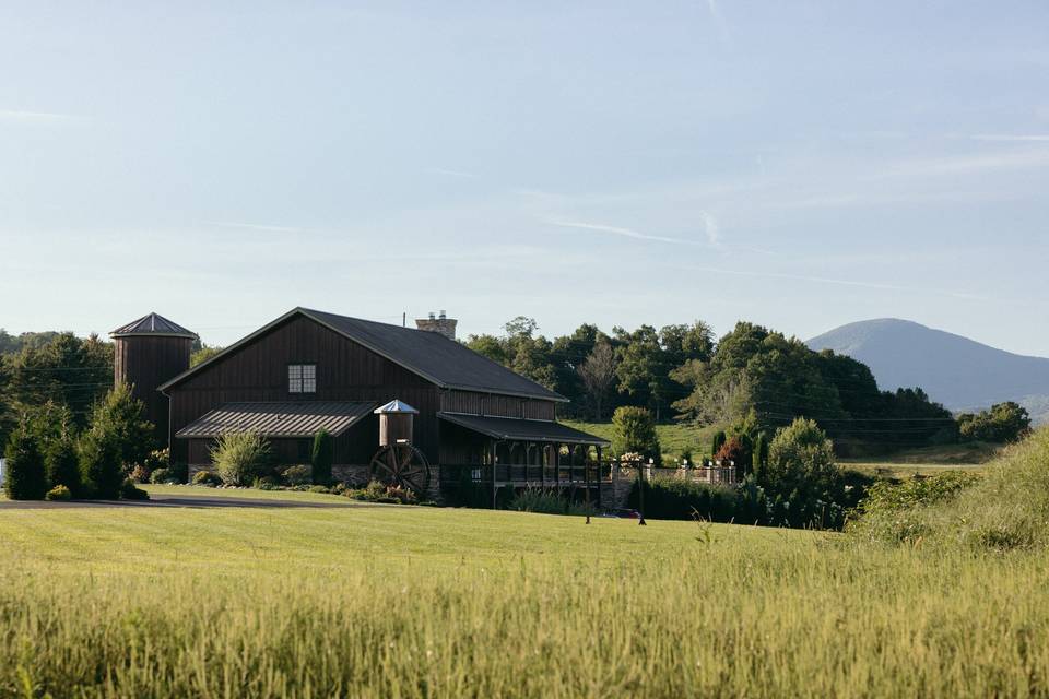 Mountain Meadow