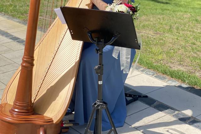 Andrea Blanchfield, Harpist