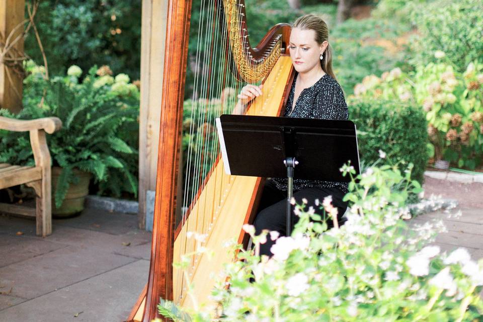 Andrea Blanchfield, Harpist