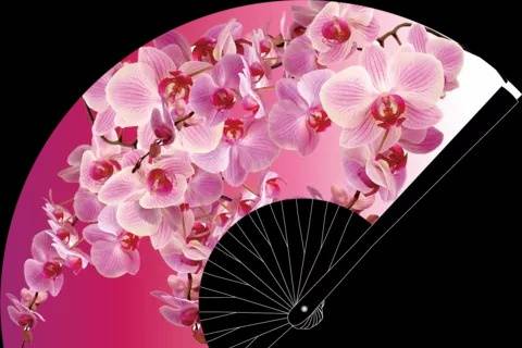 Pink orchid fan