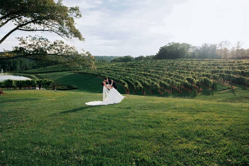 Montaluce Winery & Restaurant