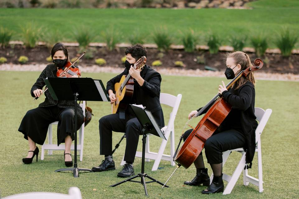 String Trio