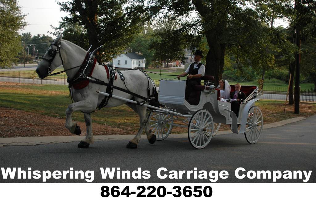 COACH®: Horse And Carriage Valet