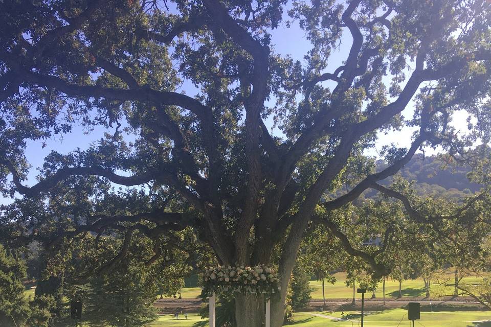 Wedding ceremony area