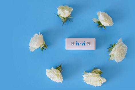 The Savvy Rose