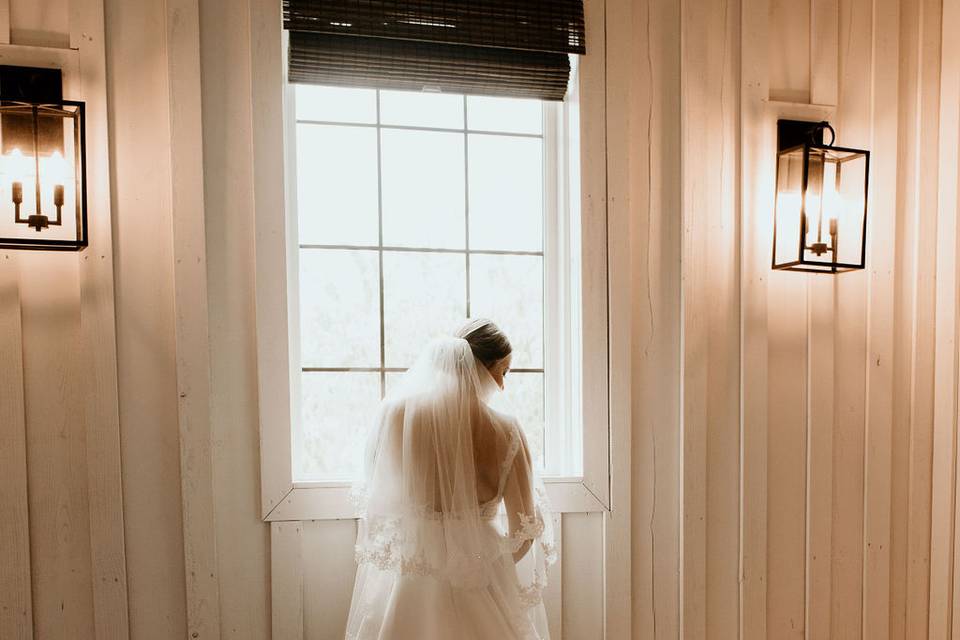 Window-lit Bridal