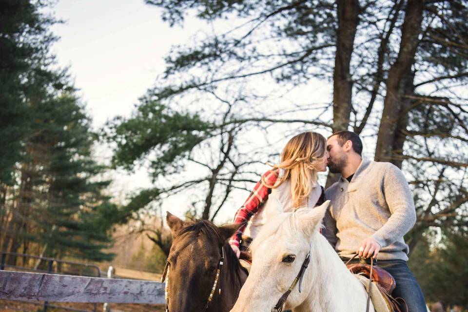 New Hampshire Horse Wedding Engagement