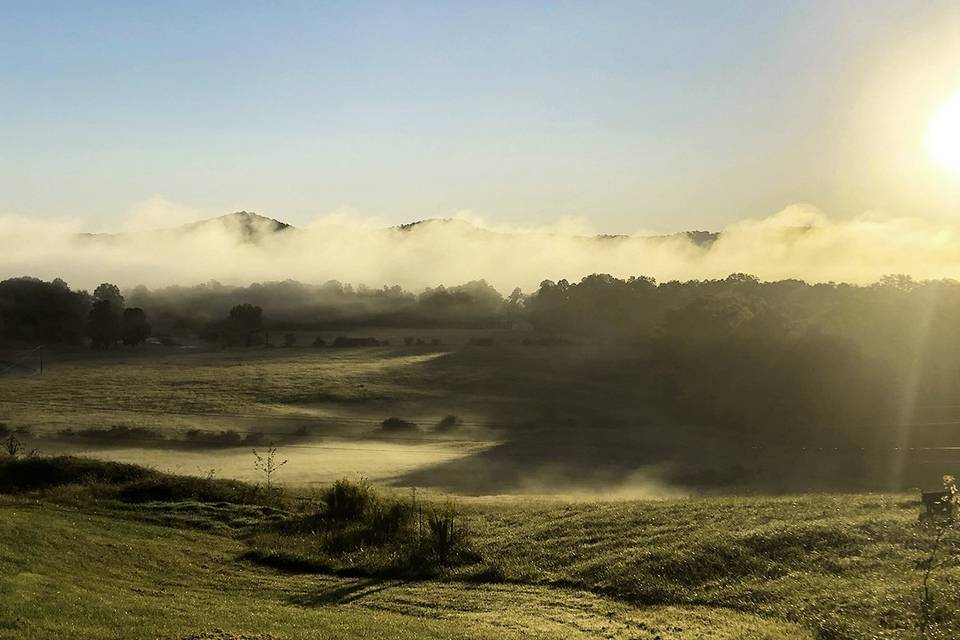 Morning Fog