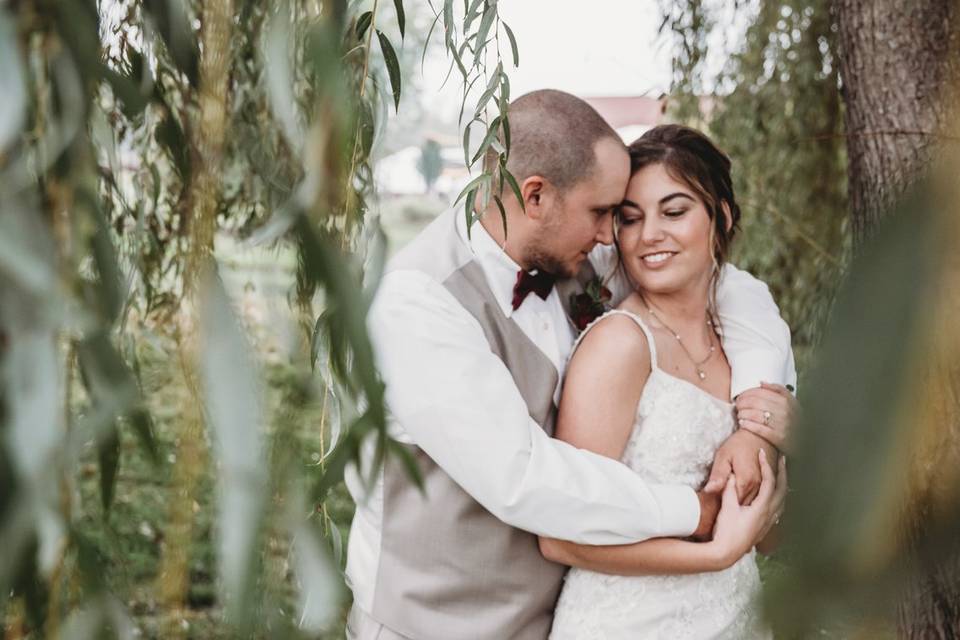 Under the willow tree
