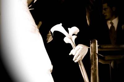 Apostrophe Photography