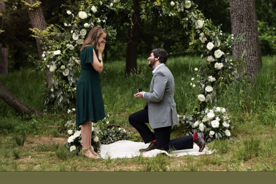 Surprise Proposal Full Arch