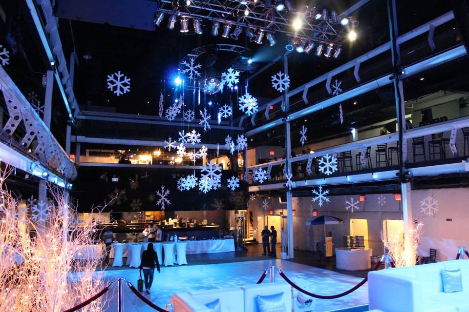 Custom Dance FloorRoom DecorVelvet Ropes and Stanchions