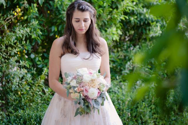 Courtney Lively Photography