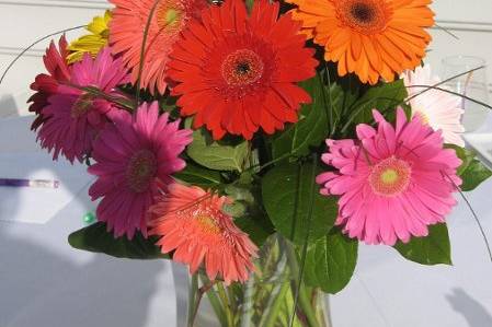 Gerbera Daisy Centerpiece
