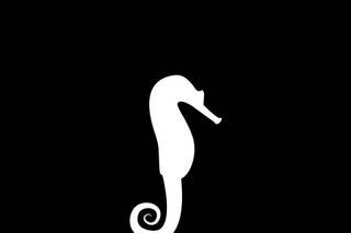 Seahorse Bend Press, LLC
