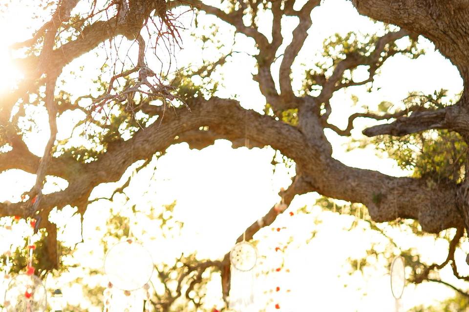 Boho sweetheart table with wild flowers, garland & dreamcatchers at figueroa mountain